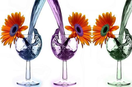 Drinks to match - daisies, colored water, glasses, purple, blue, green, colors, orange daisies