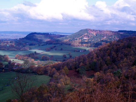 Autumn - autumn, red, green, brown, in cheshire, golden