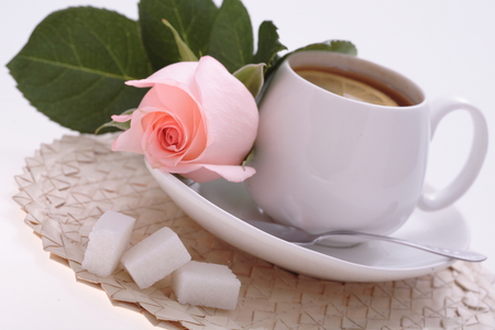 tea - flower, rose, drink, pink, cool, beautiful, photo, harmony, still life, cup, sugar lumps, tea, nice, photography