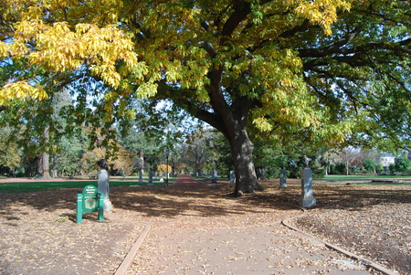 Ballarat Botanical Gardens - trees, summer, gardens, tranquil, peaceful