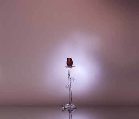 Alone - nice, alone, background, art photo, pink, table, still life, glass rose