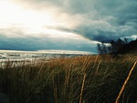 Stormy Beach