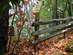 Rustic Fence