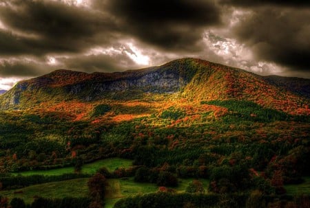 A Small Sun Spot - trees, rays, autum, forest, tree, sun, sky