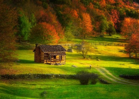 An Autum Morning - forest, way, autum, field, house