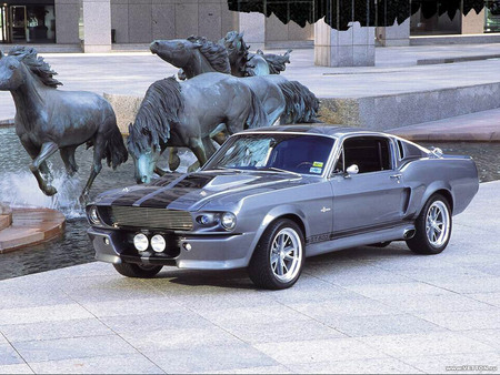 Mustangs & Mustang - speed, ford, car, mustang