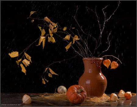 Autumn Still Life - nice, autumn fruits, art photo, leafs, table, pot vase, still life