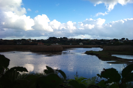 Lake - sky, lake, bright, water, leaves, nature