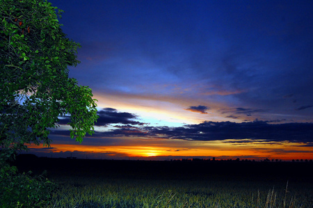 Blue sunset - clouds, blue, beauty, colors, orange, tree, sunset, nature, places, sun, sky