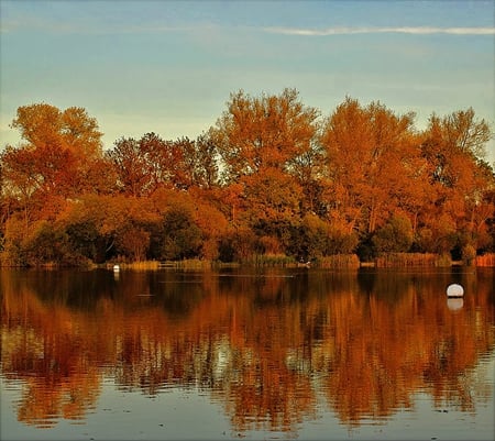 Sunset light - lakes, sesons, water, beauty, sky, places, reflection, orange, nature, colors, autumn