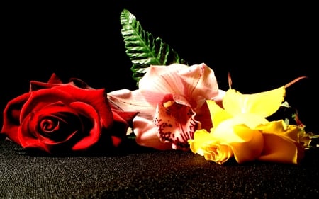 MOST BEAUTIFUL FLOWERS - roses, blossoms, yellow, beautiful, petals, pink, orchis, red, rose