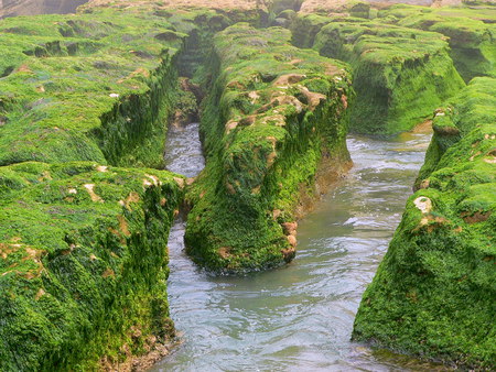 river - river, grass, nature, green