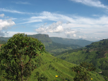 Beside the Devon - nature, green, mountains, beautiful