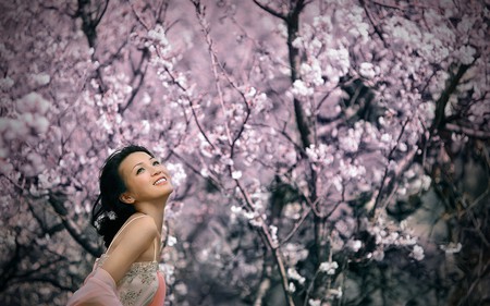 The Beauty of Spring - people, model, beautiful, blossom, cherry, tree, girl