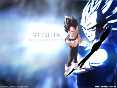 Untitled Wallpaper - dbz, a great vegeta wallpaper, vegeta