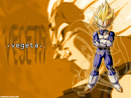 Dragon Ball Z (DBZ) - Vegeta - vegeta