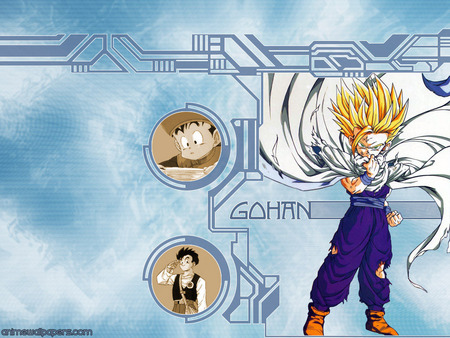 Dragon Ball Z (DBZ) - Gohan