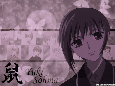 Untitled Wallpaper - yuki, fruits basket