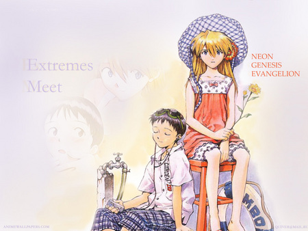 Untitled Wallpaper - evangelion, neon genesis, life preserver, eva, ipod, flower