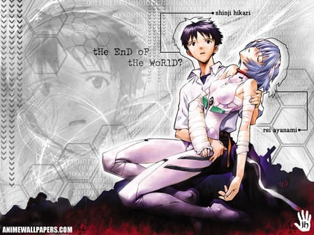 The End Of The World? - shinji y rei, neon genesis evangelion