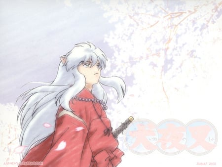 Untitled Wallpaper - inuyasha sakura cherry, leah