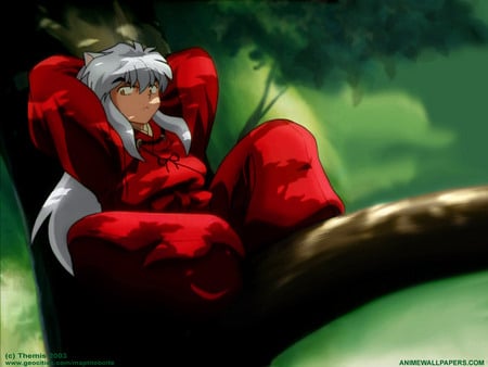 Untitled Wallpaper - leah, inuyasha, adam, inuyasha in a tree chilin