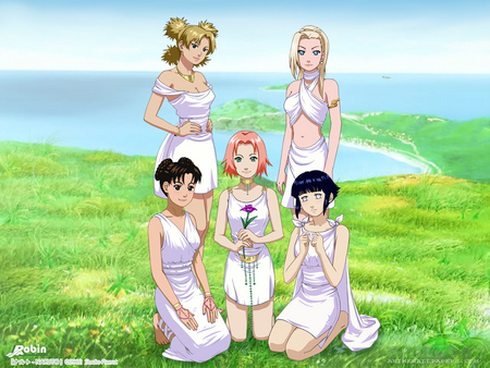 Untitled Wallpaper - naruto girls, naruto