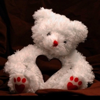 Teddy Bear Love 