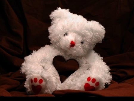 Teddy Bear Love 