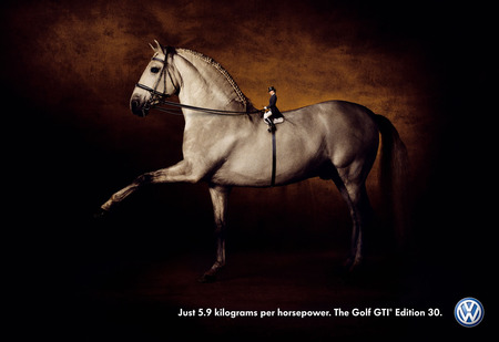 Spanish stallion(funny advertisement) - spanish horse, horses, spain, animals, dressage