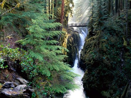 Bridge Over Sol Duc Falls - usa, water, falls, washington, tree, bridge, duc falls