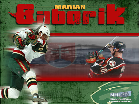 Marian Gaborik - hockey, sport, gaborik