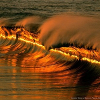 golden wave