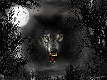 Wolf - werewolf, abstract, fantasy, wolf, creatures, night, dark, moonlight