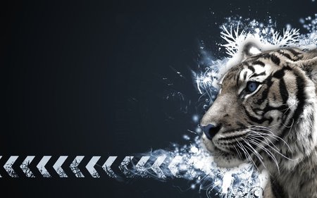 White Tiger Vector