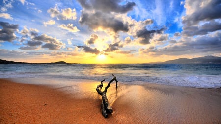 Driftwood at the Beach - sky, driftwood, clouds, beach, sundown, sandy beach, sunset, sea