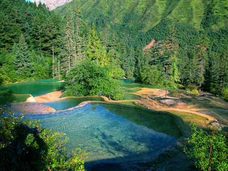 huanglong - lake, trees, nature