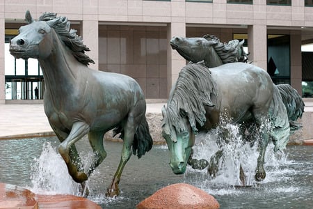 horses fountain - horses, water, fountain