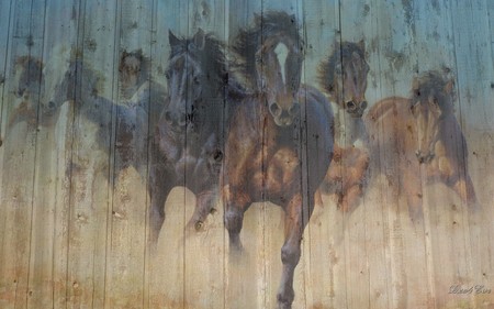 Thundering Hooves on Barn Board - horses, browns, widescreen, multi-exposure