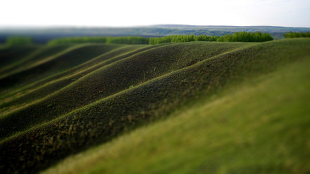 Green Soil - soil, lanscape, nature, green, grass