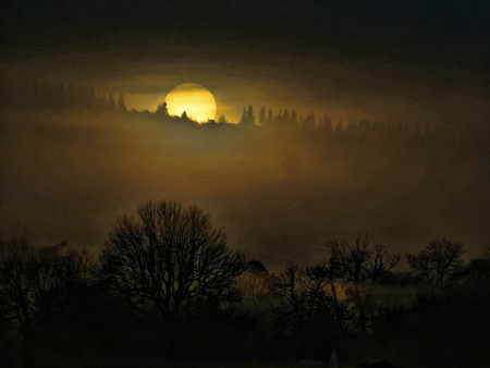 Sun at dawn - places, trees, mists, sun, silhouettes, yellow, grey, clouds, sunsets, light, nature, interesting, dawn, fog, colors, mysterious, sunrise