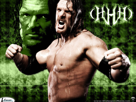 wild triple h - hollywood, raw, hhh, wild, wwe, power