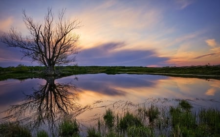 Colourful sky - nature, sky, amazing, lake, landscape, clouds, beautiful, sunset