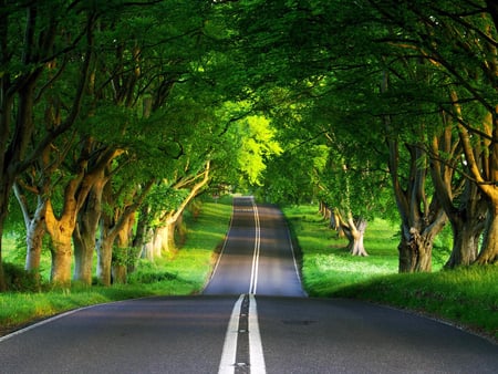 Green Road - road, nice, nature, green