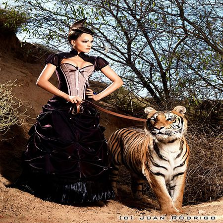 TIGER AND BEAUTY - house, leaving, tiger, life, tree, cat, master, woman, wild