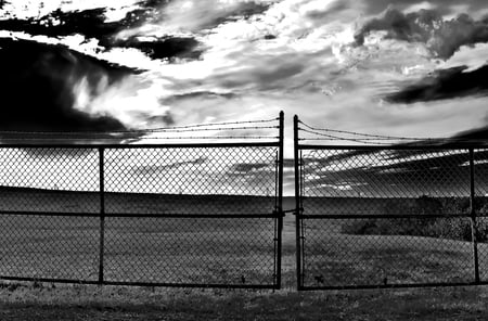 Secret Oasis - black and white, sky, fence, barbed wire