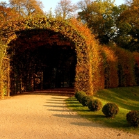 PLANT TUNNEL