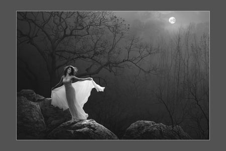 DARK DESIRE - girl, night, tree, rocks, moonlight