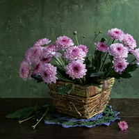 still life