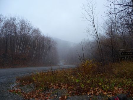 Mystery Road - mystery, road, trees, fog